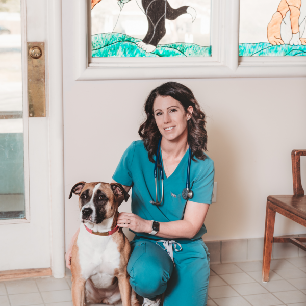 Vet Spotlight: Dr. Kristin Teague with Jubilee Pet Hospital – The Furry ...