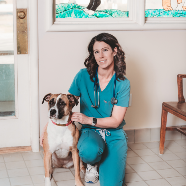 Vet Spotlight: Dr. Jennifer Purcell - Eastern Shore Pet Hospital