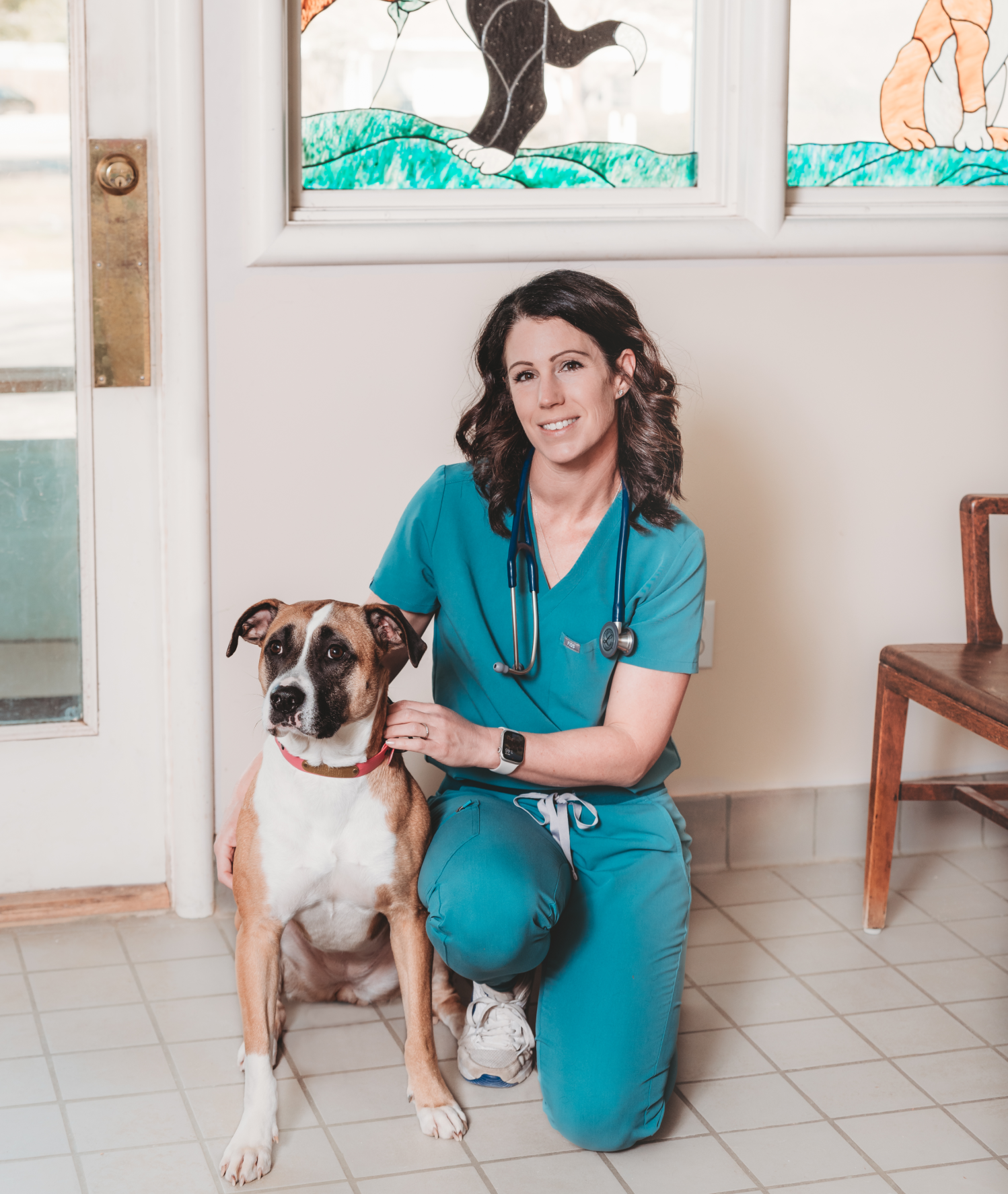 Read more about the article Vet Spotlight: Dr. Jennifer Purcell – Eastern Shore Pet Hospital