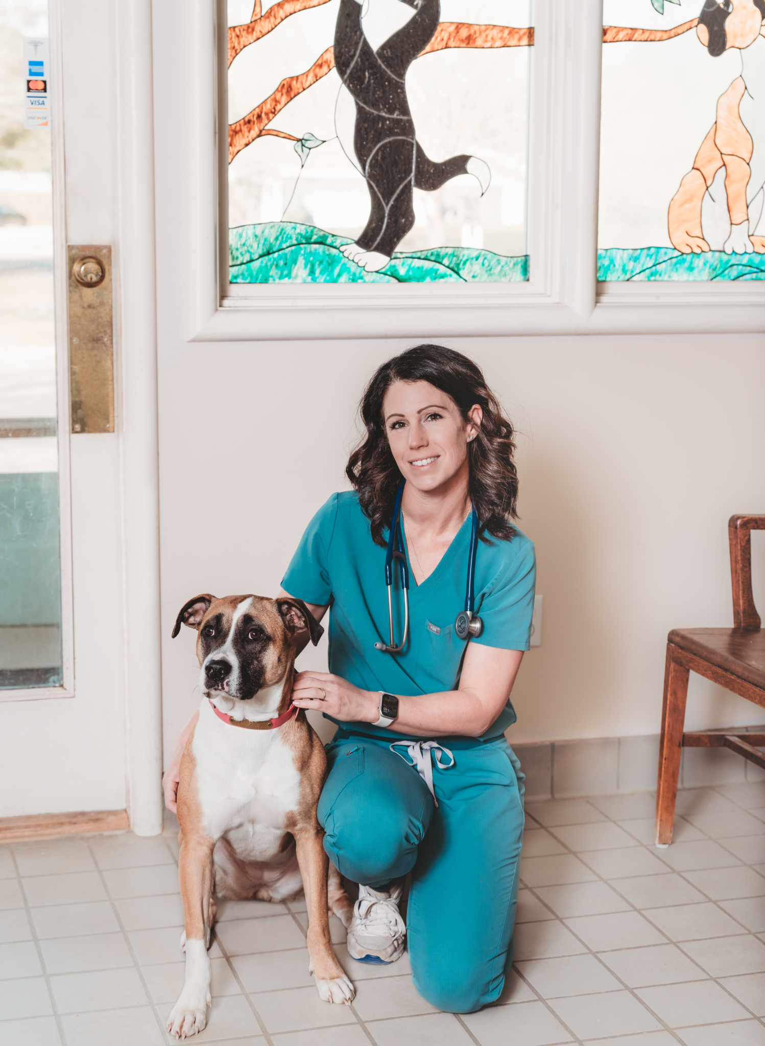 Read more about the article Vet Spotlight: Dr. Jennifer Purcell – Eastern Shore Pet Hospital