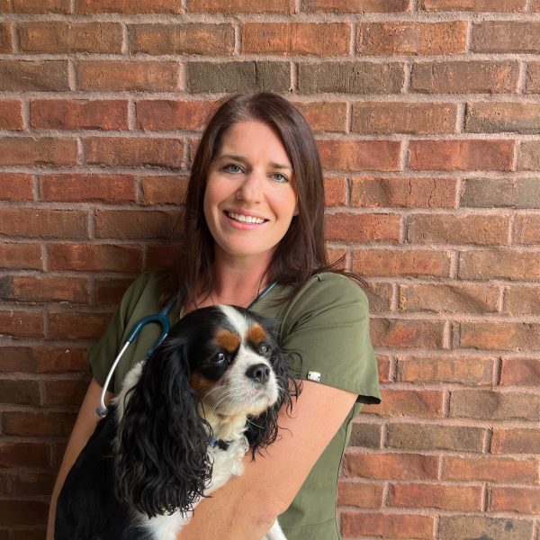 Vet Spotlight: Dr. Kristin Teague with Jubilee Pet Hospital