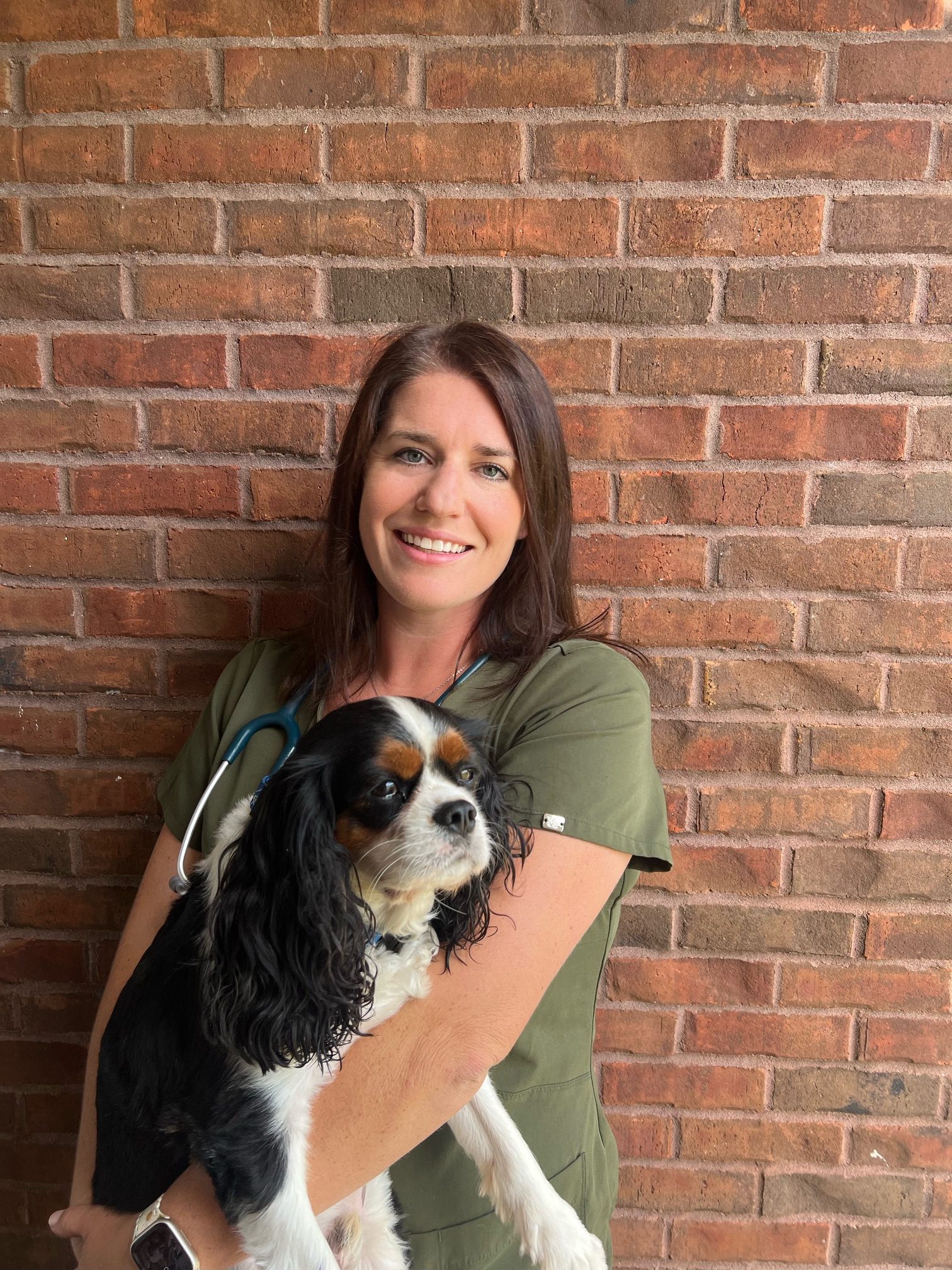 Read more about the article Vet Spotlight: Dr. Kristin Teague with Jubilee Pet Hospital