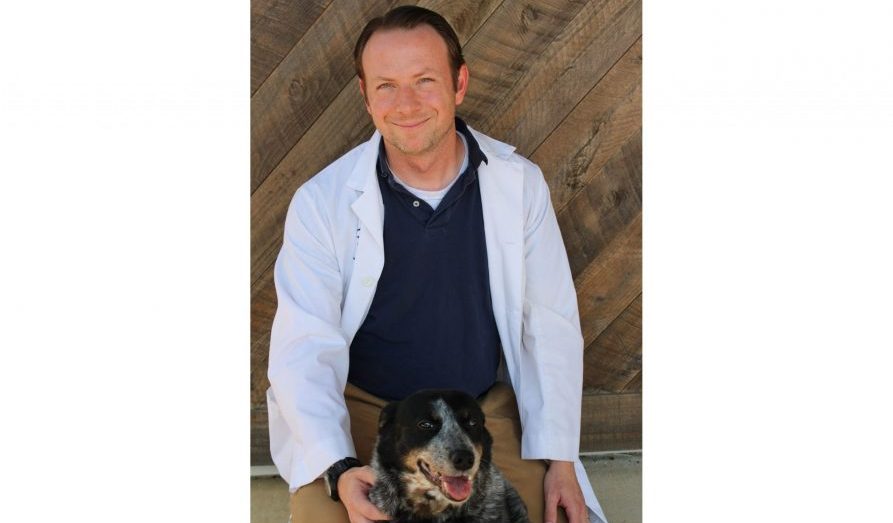 Read more about the article Vet Spotlight: Dr. William Thompson – Thompson Animal Hospital